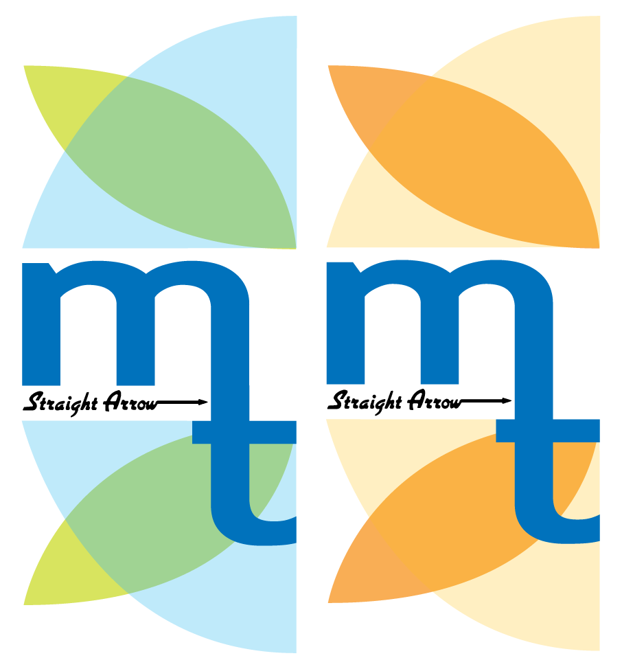 Client: Mane n' Tail (unofficially). Description: Concepted and redesigned the logo for 'Mane n' Tail' by Straight Arrow.